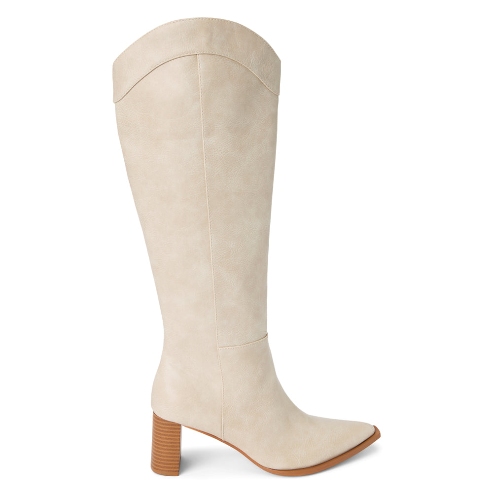 Bonnye Pointed Toe Zip Up Boots